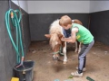begeleiding_01