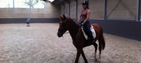Pallieter_01