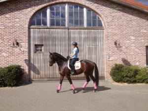 Steenshof_Slider_01