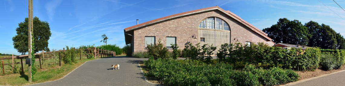 'tSteenshof2012